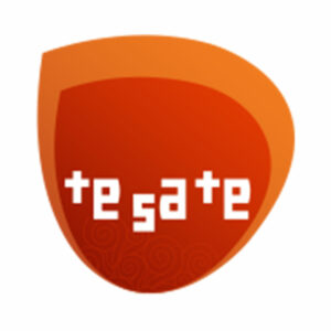 [website]-logo-tesate