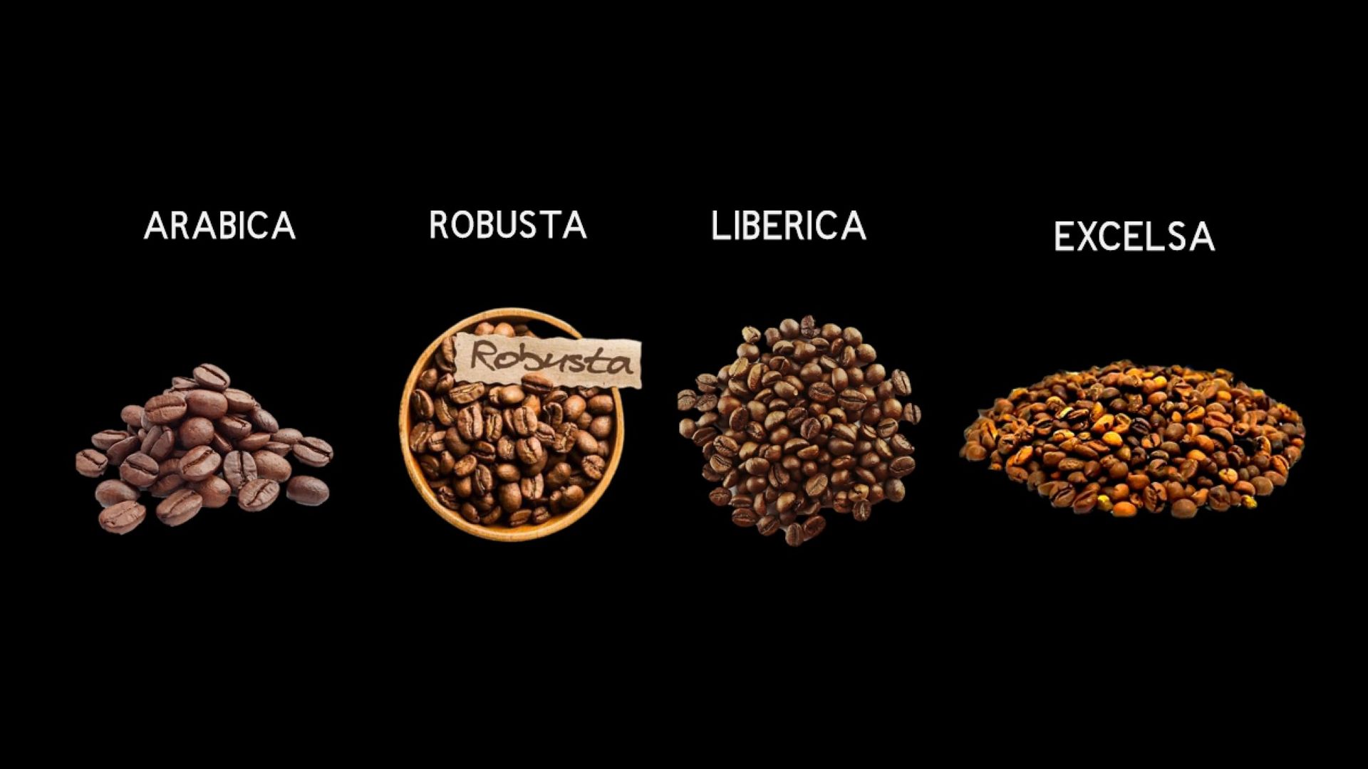 4 biji kopi yang berbeda